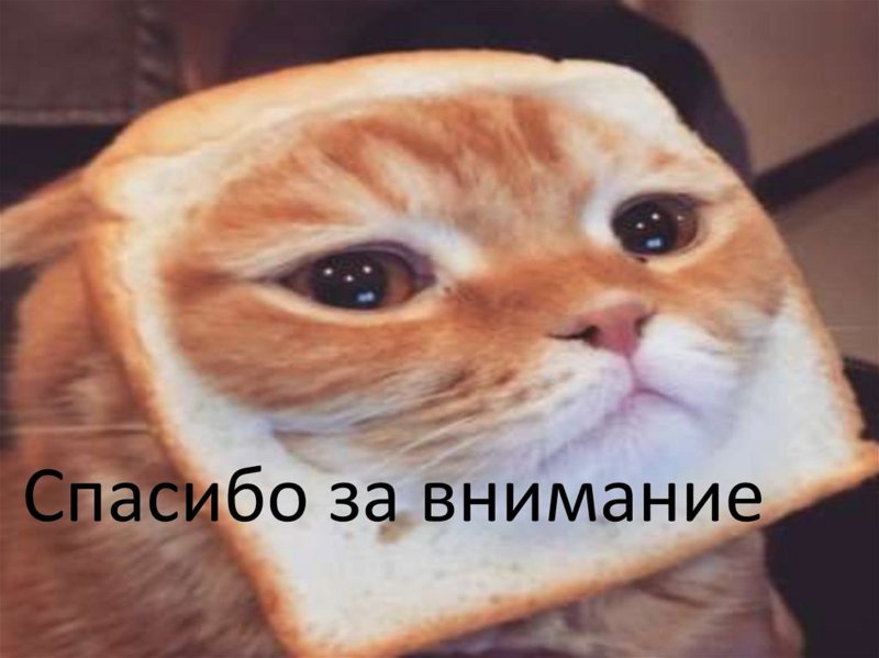 Милый котик спасибо за внимание