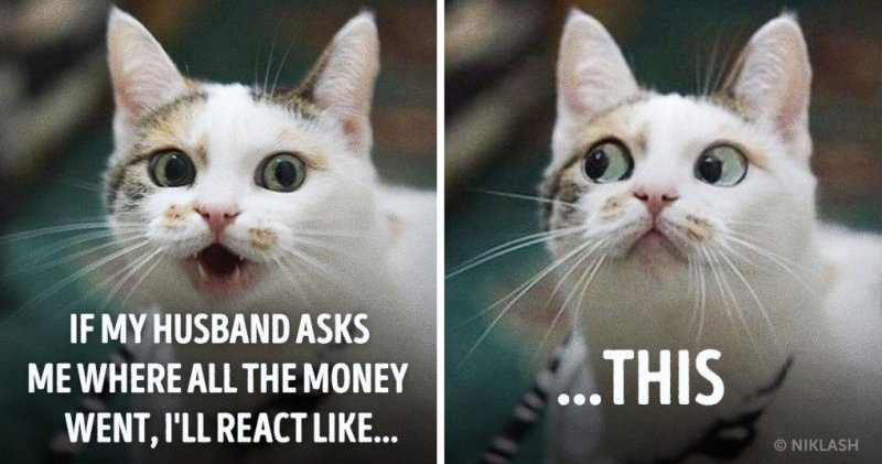 Картинка куда дела деньги