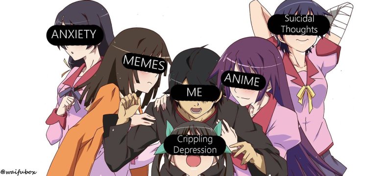 Аниме гарем мемы