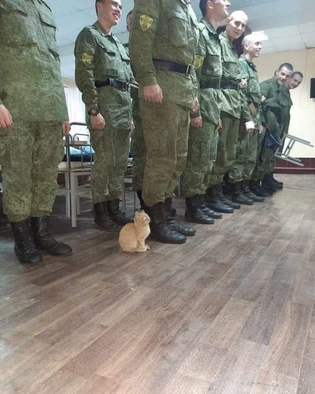 Смешной солдат