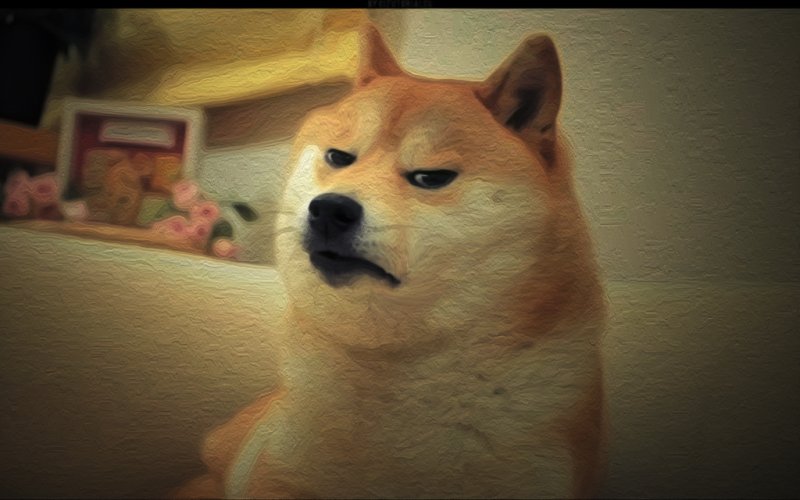 Doge собака