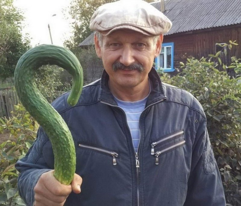 Фото смешное человек огурец