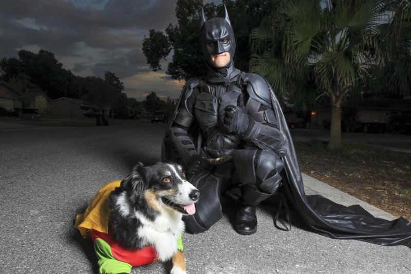 Пес Бэтмен