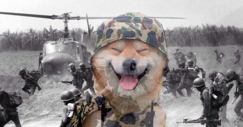 Вьетнам флешбеки