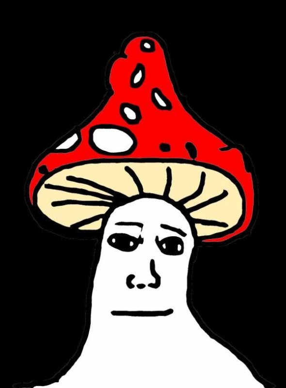 Мухомор шаман