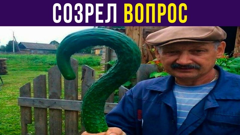 Созрел вопрос
