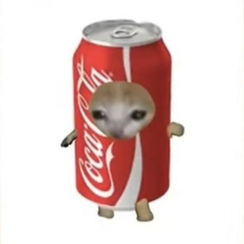 Котик с колой