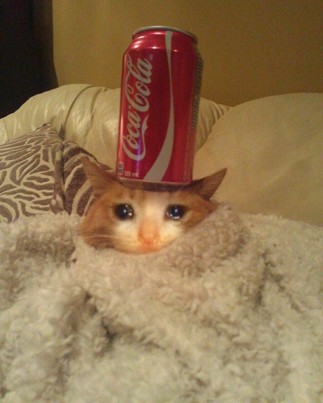 Грустный котик в колпаке