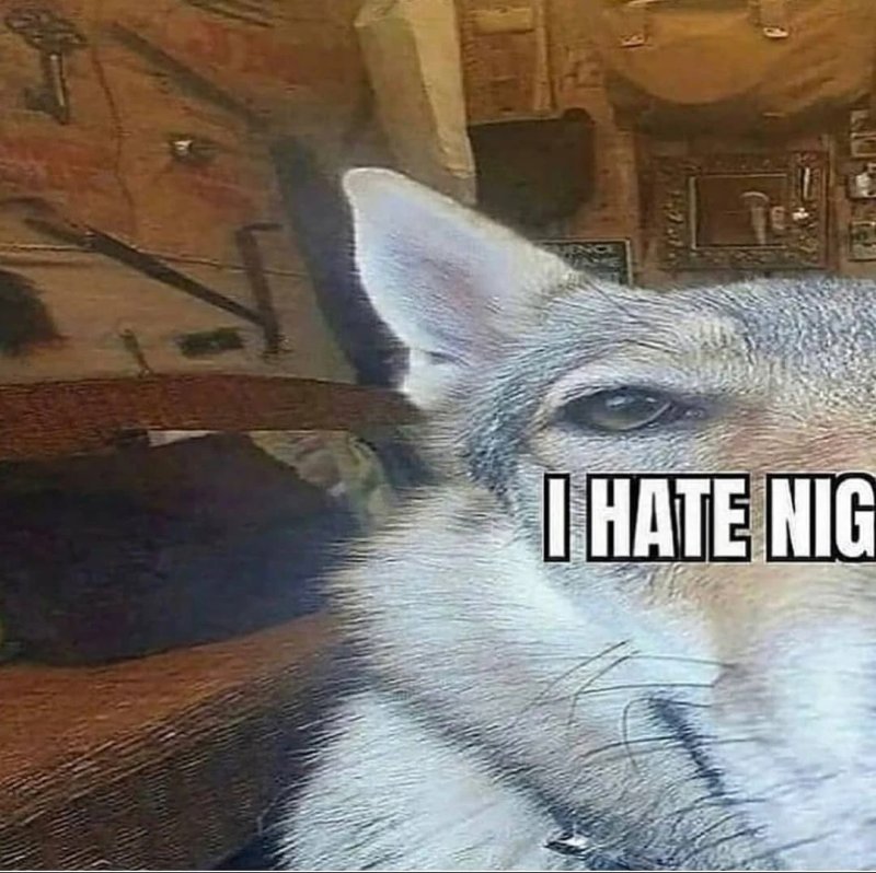 I hate Nig Dog meme