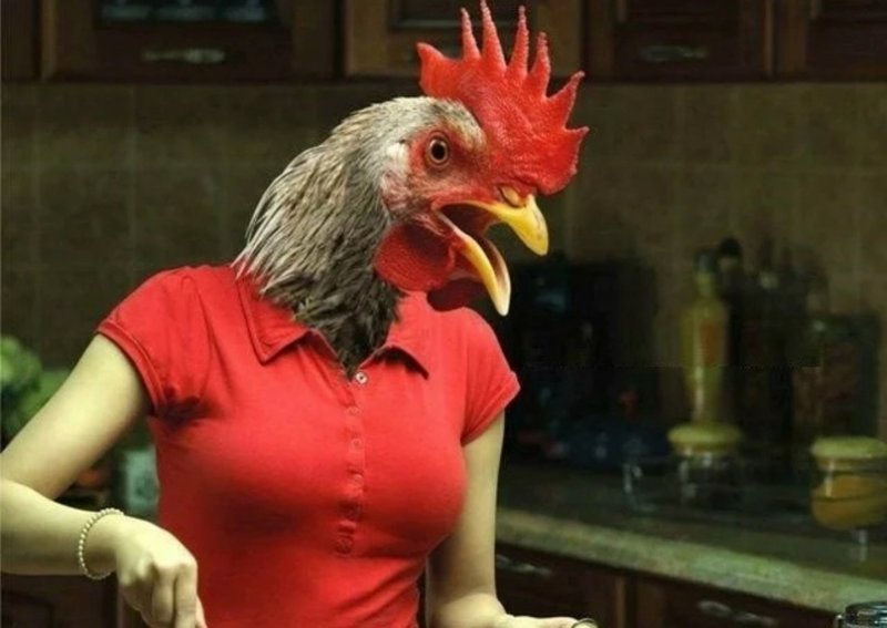 Женщина курица