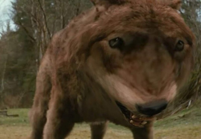 Если волк молчит лучше его не перебивать