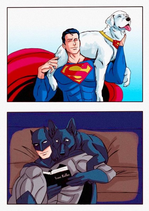 Собака Бэтмена