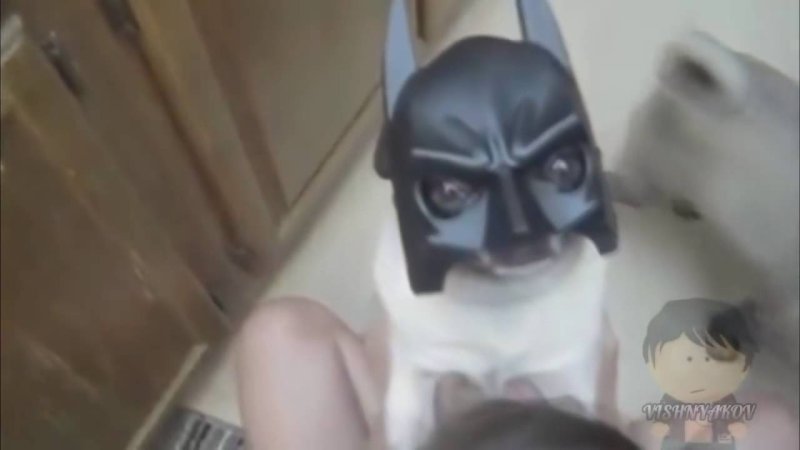 Детонатор Мем