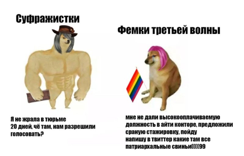 Мемы про феминисток