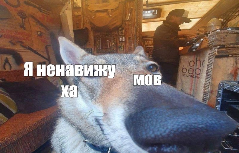 Ненавижу неграмотных людей Мем волк