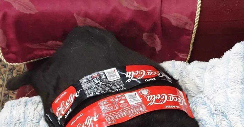 Котик с Кока колой