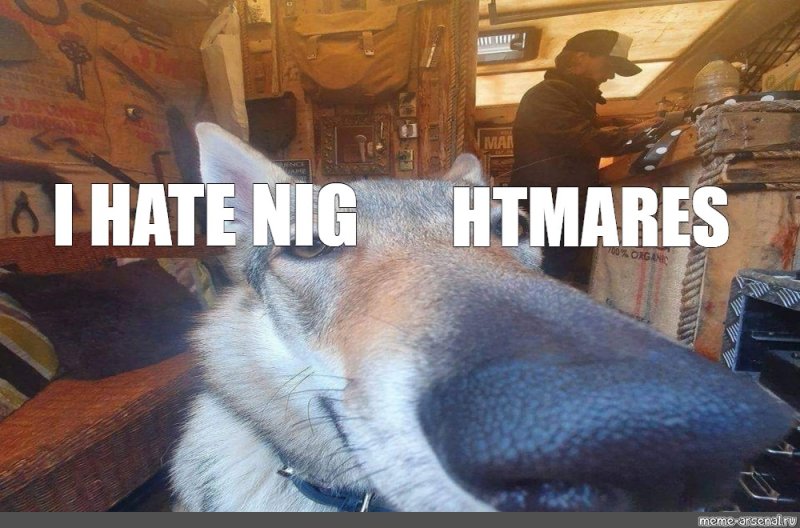 Я ненавижу Мем с собакой