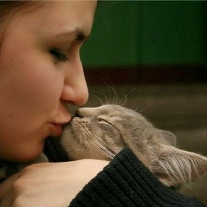 Девочка целует кота