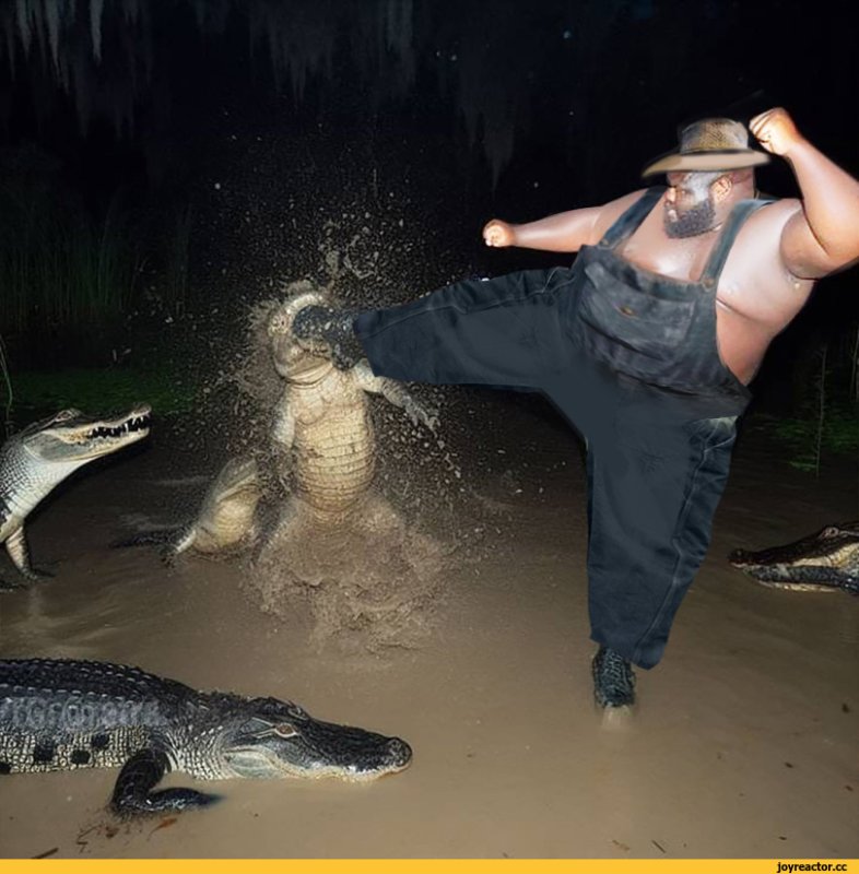 Бегемот против крокодила