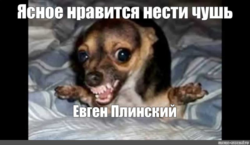 Собака с кегой Мем