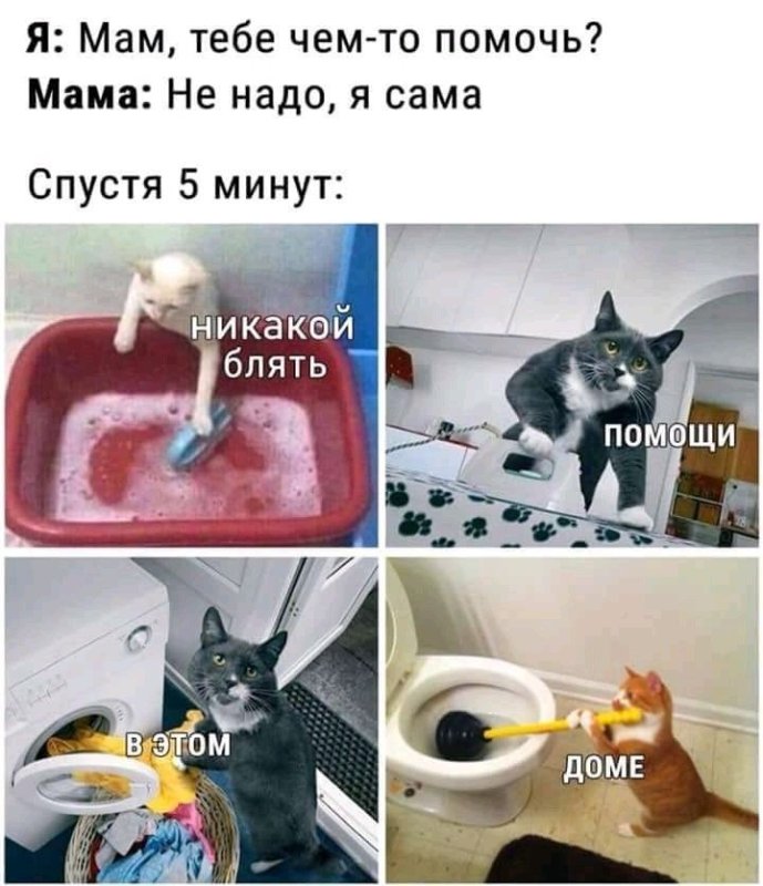 Никакой помощи в этом доме Мем