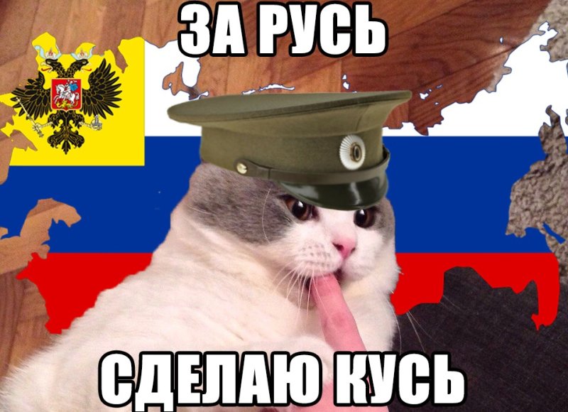 Я русский Мем с котом