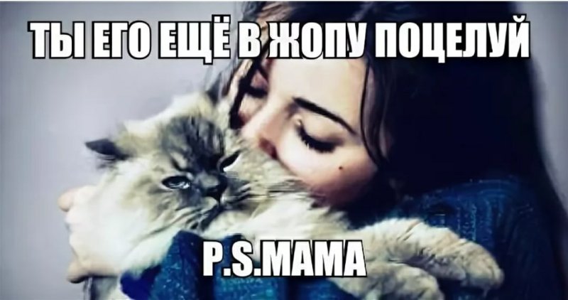 Поцелуй под хвостик