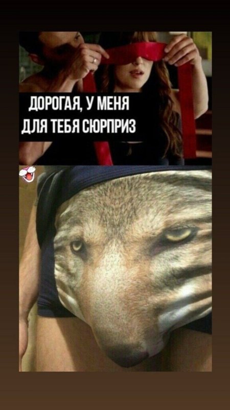Трусы с волком Мем