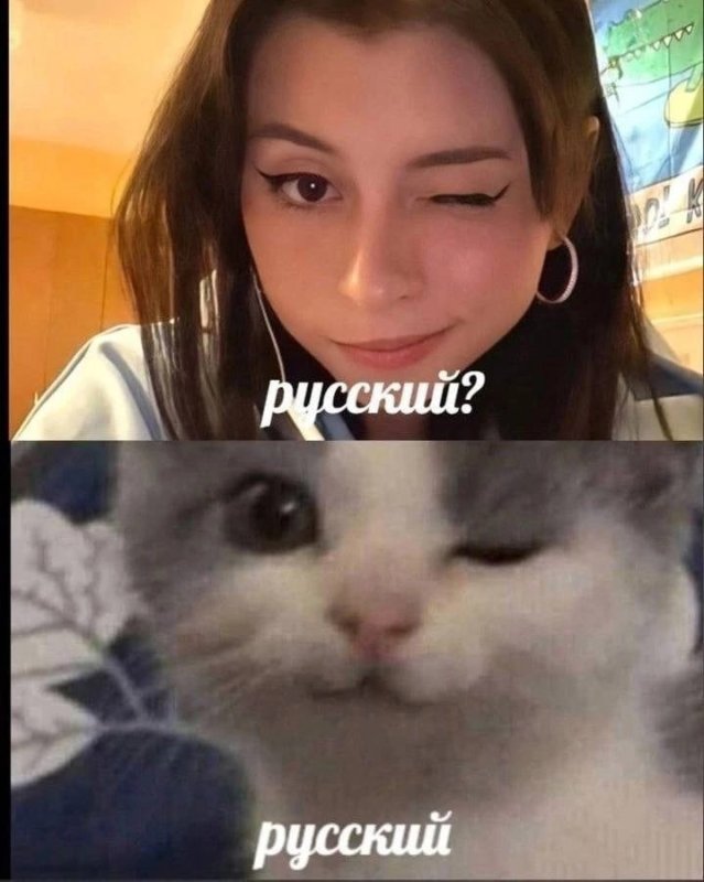 Русский русский Мем Дора