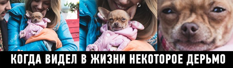 Сова видела некоторое дерьмо