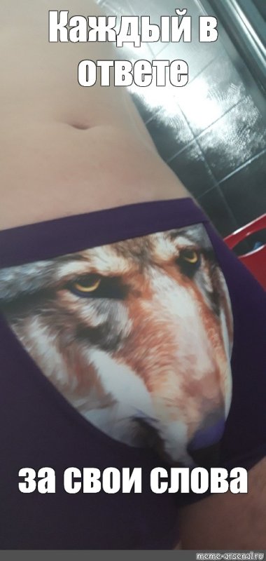 Трусы с волком