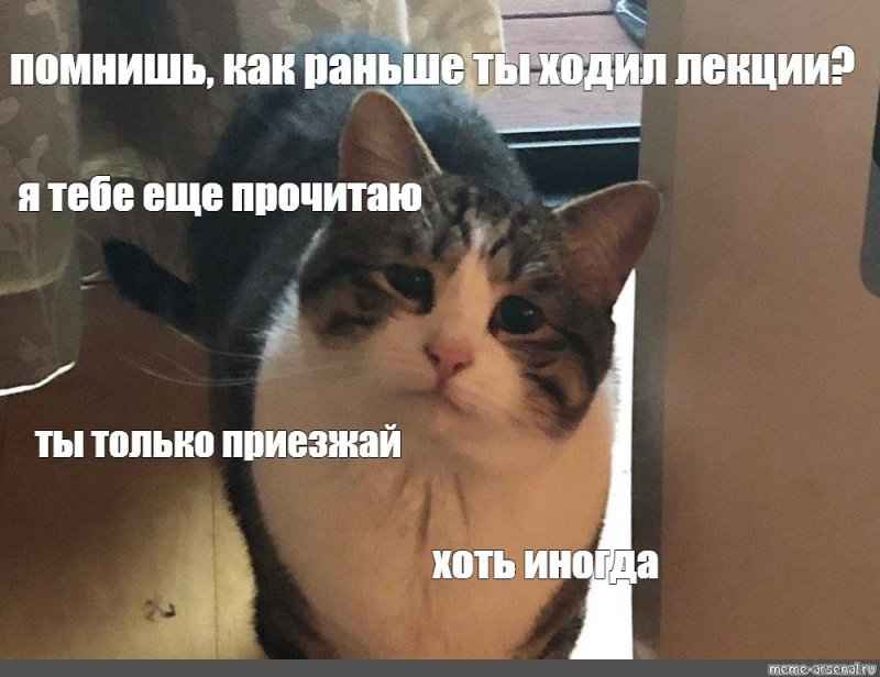 Ты только пиши хоть иногда кот