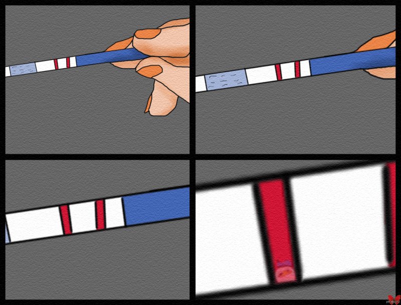 Тест 2 полоски