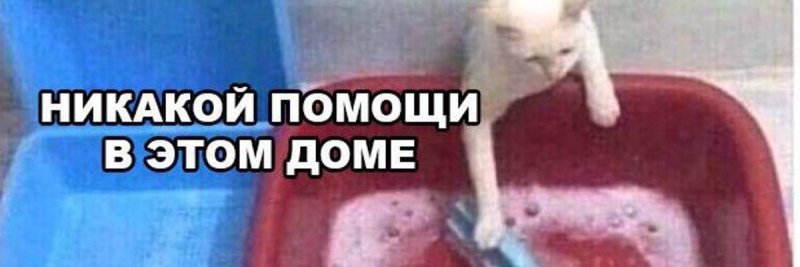 Мем никакой помощи в этом