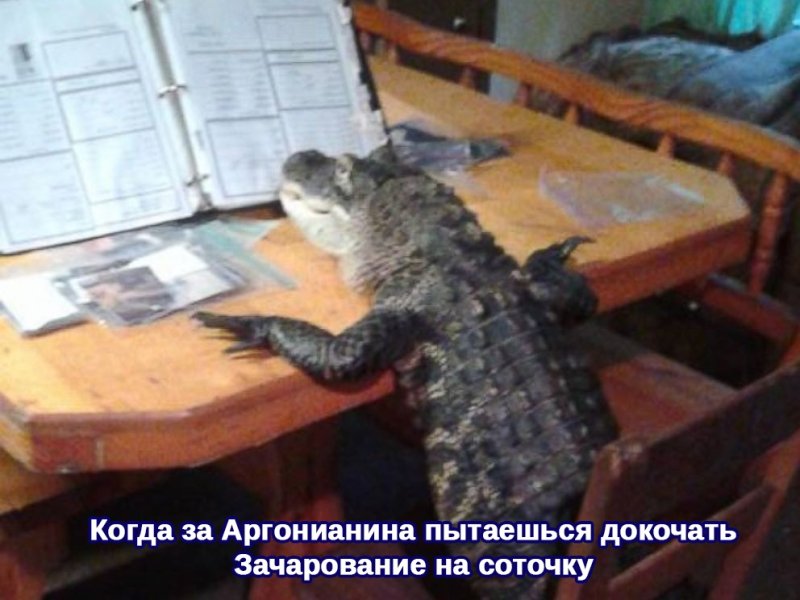 Мемы с крокодилами