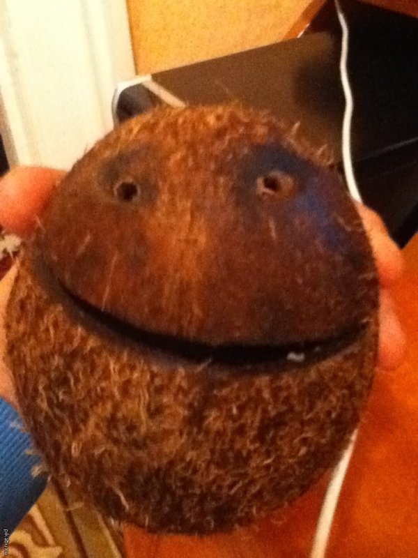 Страшный Кокос