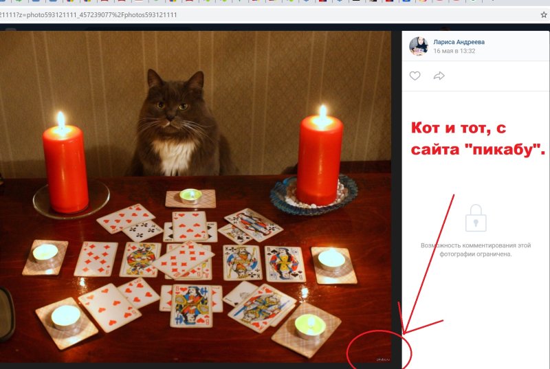 Мем с гадалкой сейчас посмотрю