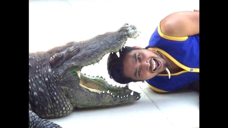 Смешной крокодил