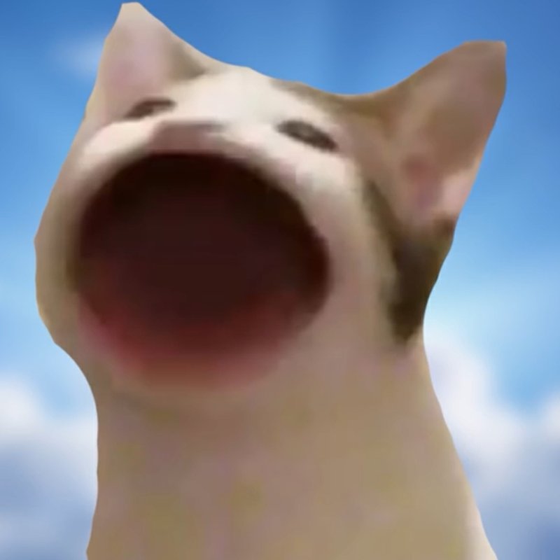 Кот с открытым ртом