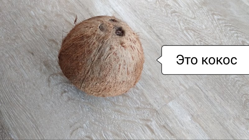 Кокос Мем