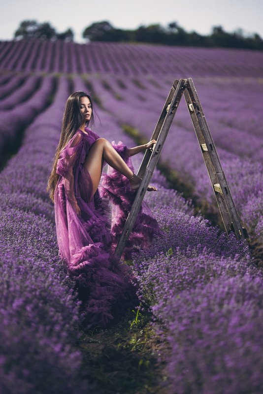 Лавандовое поле