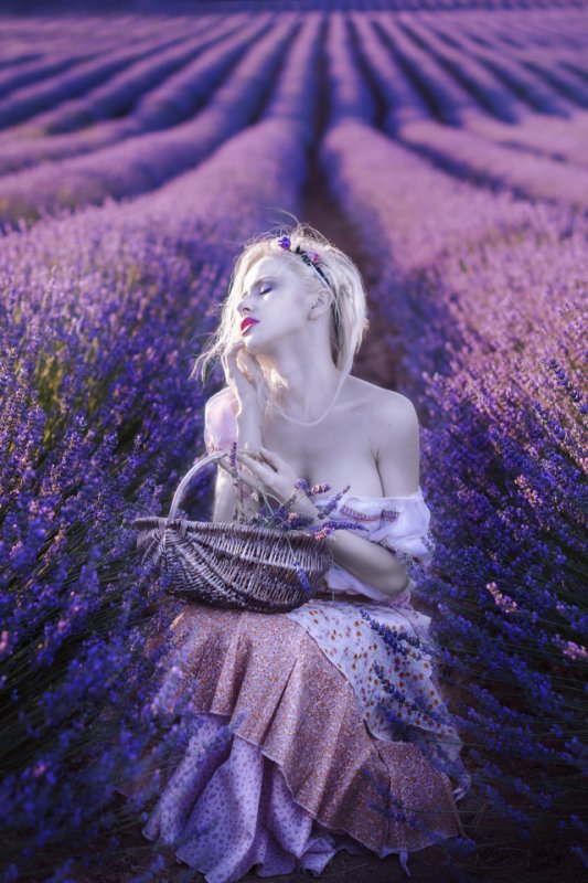 Девушка с лавандой