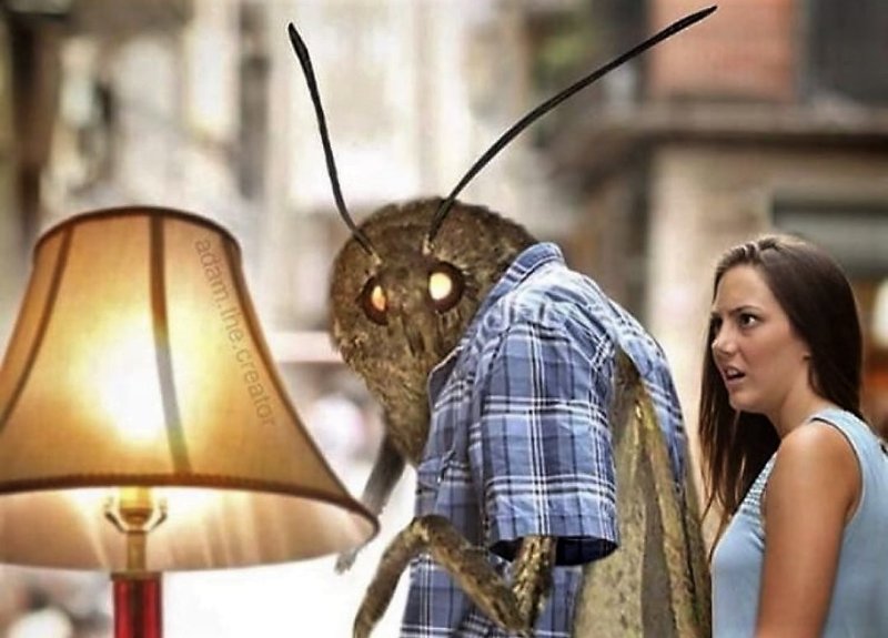 Мотылек прикол