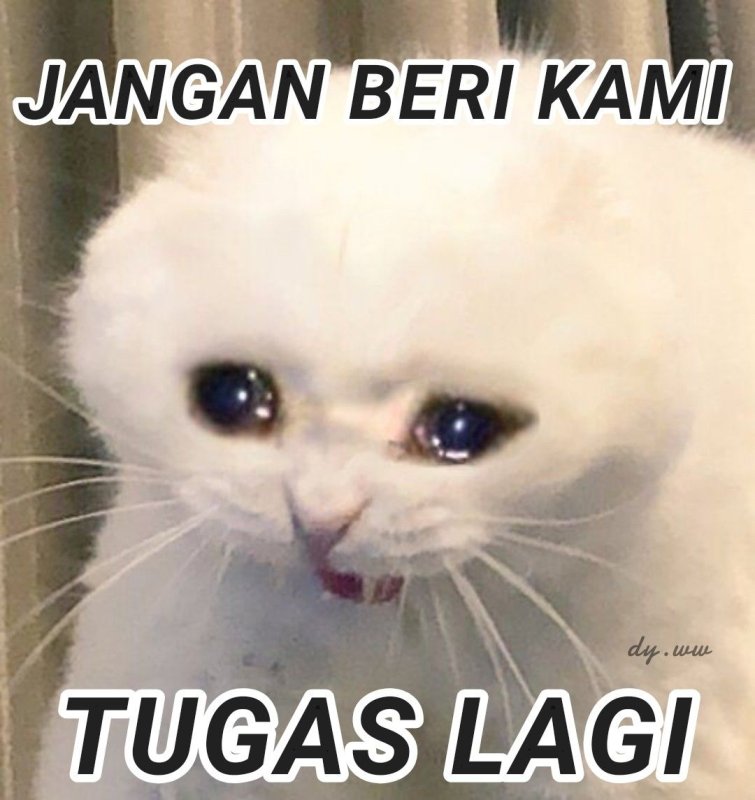 Плачущиё кот