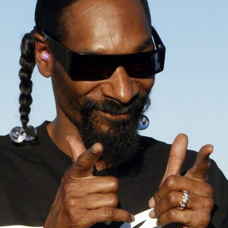 Мемный снуп дог