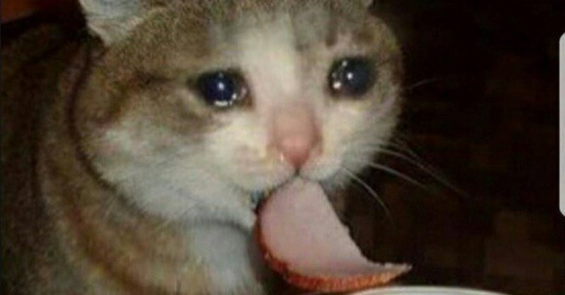 Плачущий кот с едой