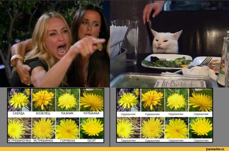 Смешной одуванчик