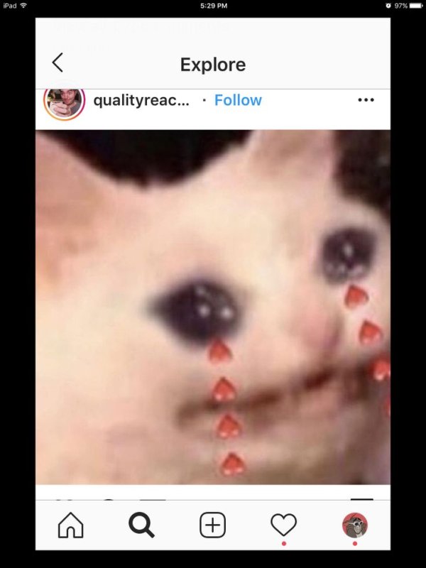 Плачущий кот с лапой у рта