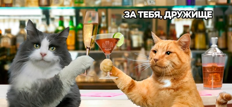 Кот с бокалом