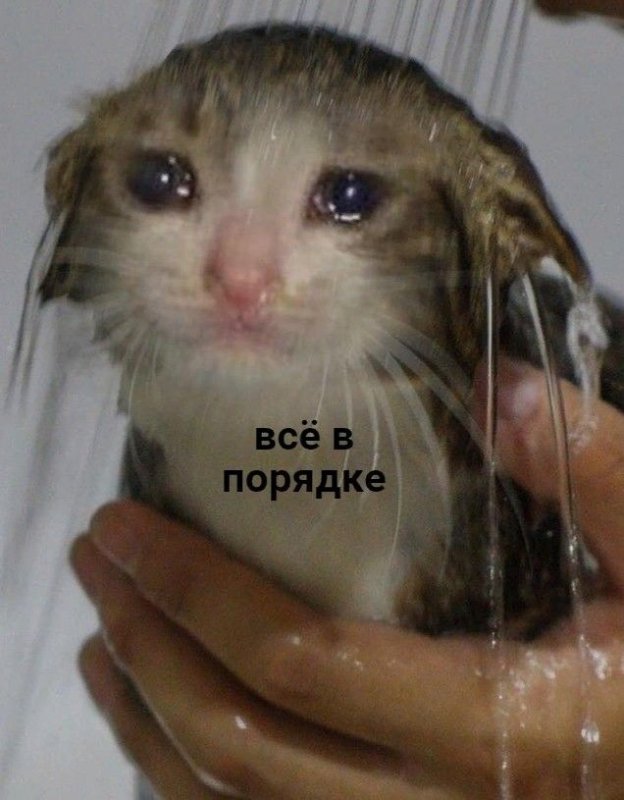 Я не плачу это просто дощь